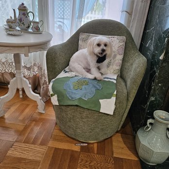 Breezy Paw Mobile Grooming - Pet Groomers Near Me Breezy Paw Mobile Grooming - Pet Groomers Near Me