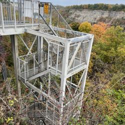 Niagara Glen Nature Reserve