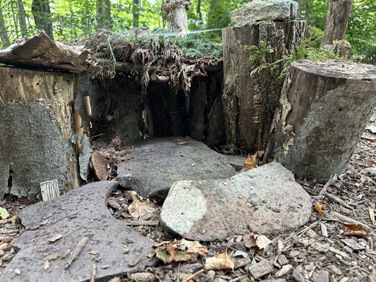 Mountain Top Arboretum by null