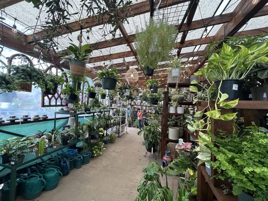 Green's Produce and Plants by null