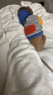 North Shore University Hospital by null