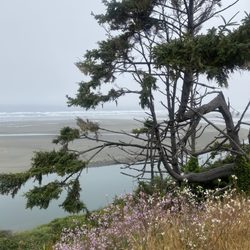 Humboldt Bike Rental - Vista Point