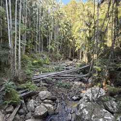 Tamborine Mountain