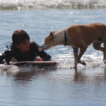 Short Sands Beach - Beaches Near Me - Manzanita, Oregon Short Sands Beach - Beaches Near Me - Manzanita, Oregon