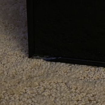 Mr. Carpet Cleaning - Bro fridge damage says his equipment doesn't do that it's brand new - Carpet Cleaning Near Me Mr. Carpet Cleaning - Bro fridge damage says his equipment doesn't do that it's brand new - Carpet Cleaning Near Me