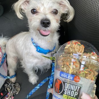 Whole Pets Market - Luna and her donuts for dogs - Pet Stores Near Me - The Bronx, New York Whole Pets Market - Luna and her donuts for dogs - Pet Stores Near Me - The Bronx, New York