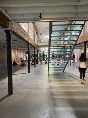 Miami Ironside by null