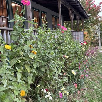 Carter Hill Orchard - Fruits & Veggies Near Me - Concord, New Hampshire