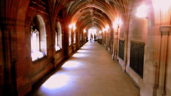 John Rylands Research Institute and Library by null