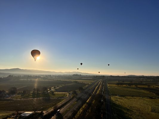 Napa Valley Aloft Hot Air Balloon Rides by null