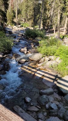 Lodgepole Campground by null