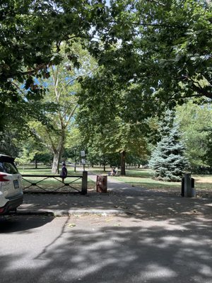 New Haven Green by null