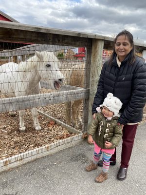 Chinguacousy Park by null