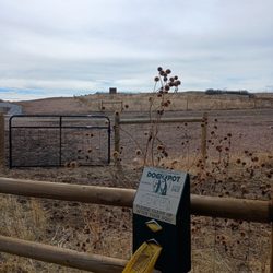Glendale Open Space Dog Park