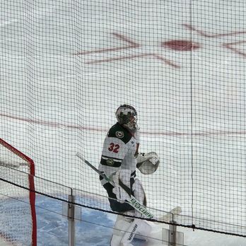 Minnesota Wild - Professional Sports Teams Near Me - Saint Paul, Minnesota