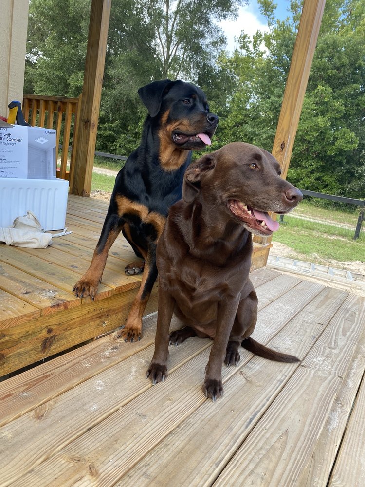 Southwest Ocala Veterinary Hospital Image