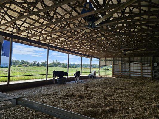 Hopkins Farm Creamery by null