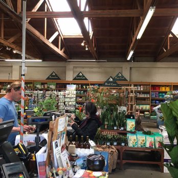 Sloat Garden Center - Beautiful store, helpful and friendly staff - Nurseries & Gardening Near Me - San Francisco, California Sloat Garden Center - Beautiful store, helpful and friendly staff - Nurseries & Gardening Near Me - San Francisco, California