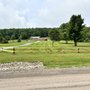 Photo of Lawn Thyme
