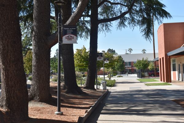 Buchser Middle School by null