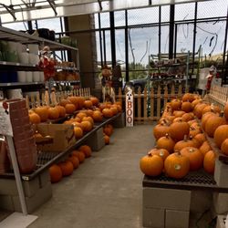 Lowe's Home Improvement