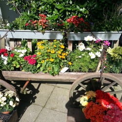 Grafe's Fruchtkorb - Blumen