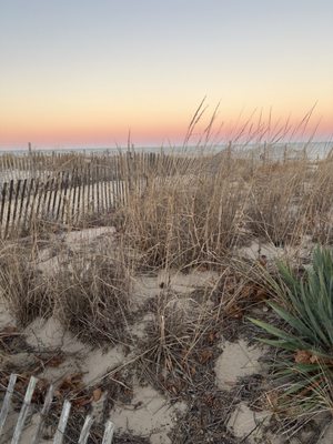 Rehoboth Beach by null
