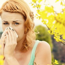 PlasmaLab International - Seasonal Allergies? Earn money by donating plasma for allergy research.