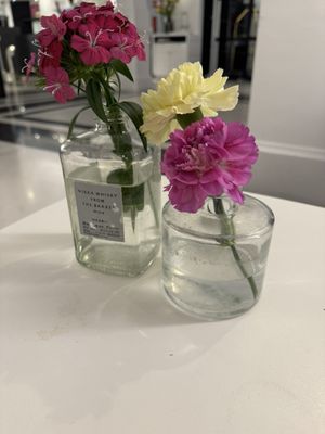 The Manor Amsterdam by null