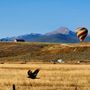 Photo of Grand Adventure Balloon Tours