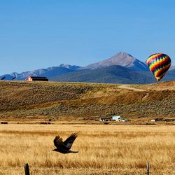 Grand Adventure Balloon Tours - Beautiful Fall Www.grandadventureballoon.com