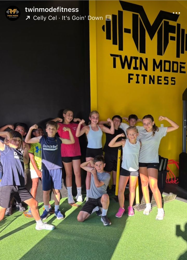 Twinmodefitness Logo