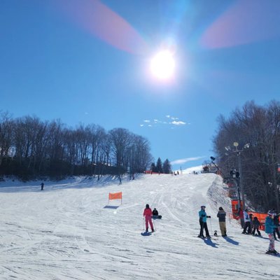 Appalachian Ski Mtn. by null