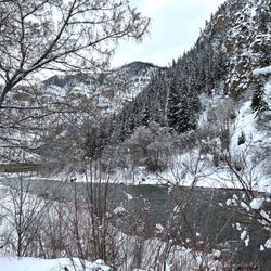 Grizzly Creek - Grizzly Creek