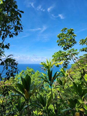 Ha'ena State Park by null