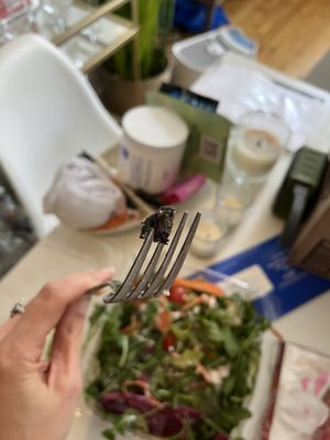 Brooklyn Hero Shop by null