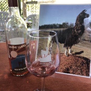 Divine Llama Vineyard - Wineries Near Me - East Bend, North Carolina