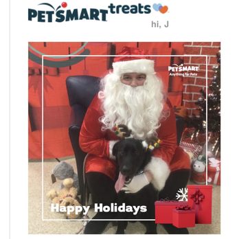 PetSmart Dog Training - Happy Holidays  From our girl Bella! #ilovemydog #xmas #cutedog #santa @petsmart - Pet Stores Near Me - Memphis, Tennessee
