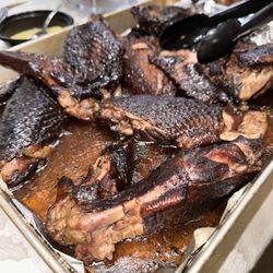 TURKY ON THE LOOSE - Turkey wings