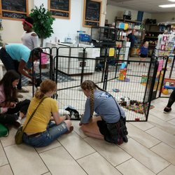 Pic A Pet Plus