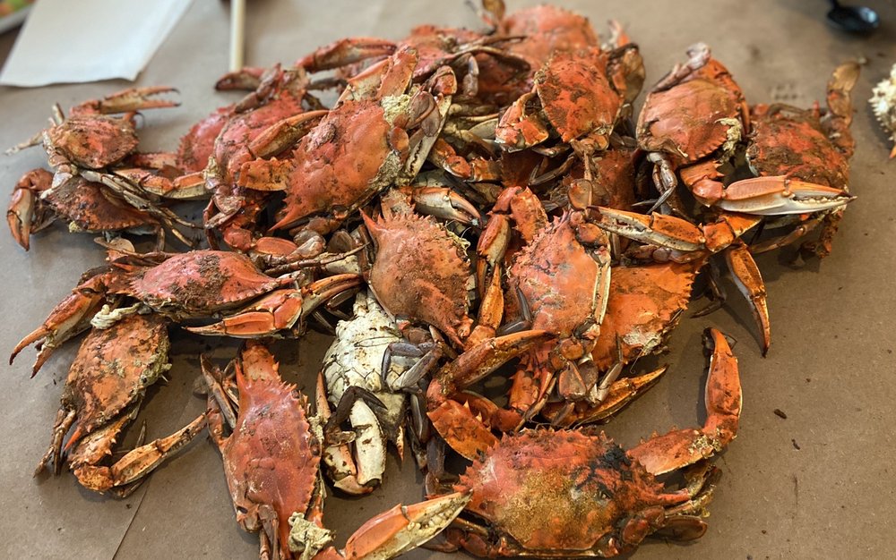 HARD SHELL Updated August 2024 32 Photos & 58 Reviews 6590 Old