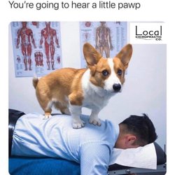 Local Chiropractic - Come see us, please don't hurt. You don't need an appointment, just walk in.