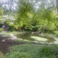 Summer's Inn - Koi pond