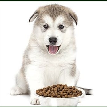 Cherokee Kennels - Pet Groomers Near Me - Fitchburg, Wisconsin Cherokee Kennels - Pet Groomers Near Me - Fitchburg, Wisconsin