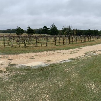 Moravia Vineyards & Winery - Vineyard - Wine Tours Near Me - Schulenburg, Texas Moravia Vineyards & Winery - Vineyard - Wine Tours Near Me - Schulenburg, Texas