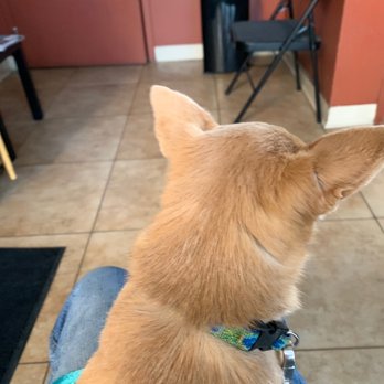 Jiffy Lube - Waiting for an oil change!! - Auto Repair Near Me - Bakersfield, California