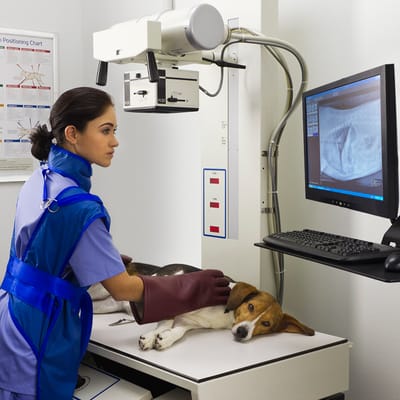 petsmart hospital hours