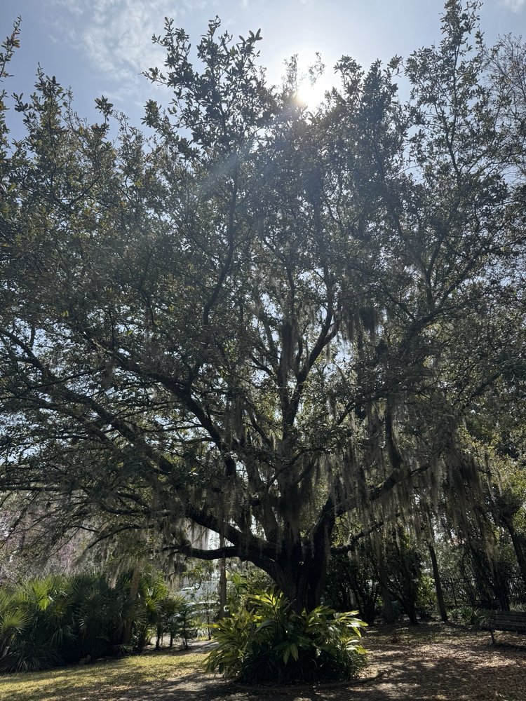 Mom's Park Image