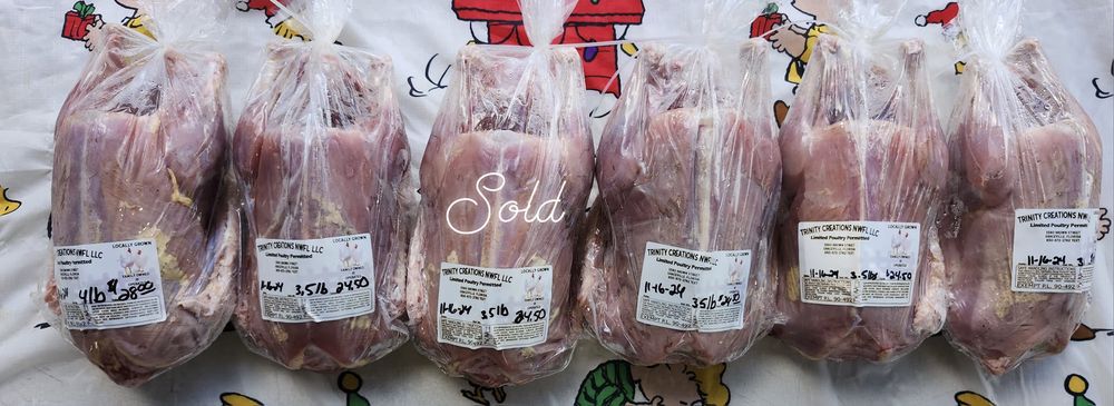 Social spots from Trinity Creations NWFL