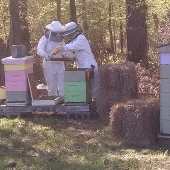 Dug In Farms - Fresh honey brought to you by Dug In Farms - Farmers Market Near Me - White Stone, Virginia Dug In Farms - Fresh honey brought to you by Dug In Farms - Farmers Market Near Me - White Stone, Virginia